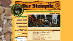 What Steinpilz-wismar.de website looked like in 2022 (1 year ago)