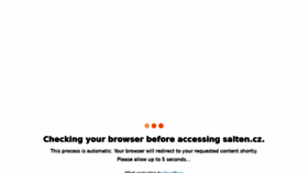 What Salten.cz website looked like in 2022 (3 years ago)
