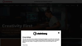 What Steinberg.net website looked like in 2022 (1 year ago)