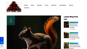 What Scarysquirrel.org website looked like in 2022 (1 year ago)