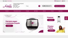 What Scopula.ru website looked like in 2022 (1 year ago)