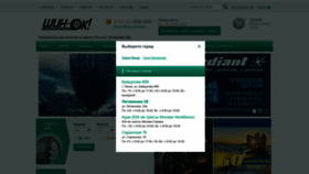 What Shin-ok.ru website looked like in 2022 (1 year ago)