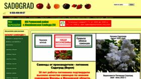 What Sadograd.ru website looked like in 2022 (1 year ago)