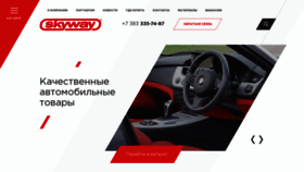 What Skyway.ru website looked like in 2022 (1 year ago)