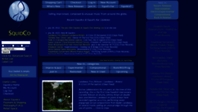 What Squidco.com website looked like in 2022 (1 year ago)