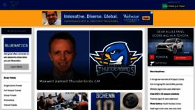 What Stlouisblues.com website looked like in 2022 (1 year ago)