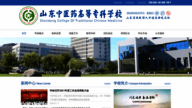 What Stcmchina.com website looked like in 2022 (1 year ago)