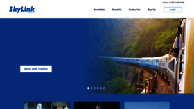 What Skylinkus.com website looked like in 2022 (1 year ago)