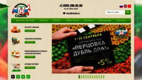 What Sedek.ru website looked like in 2022 (1 year ago)
