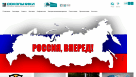 What Sokolniki.com website looked like in 2022 (1 year ago)