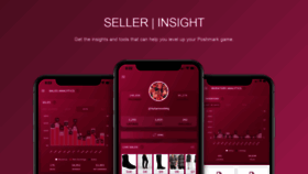 What Sellerinsight.app website looked like in 2022 (1 year ago)