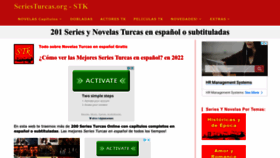 What Seriesturcas.org website looked like in 2022 (1 year ago)