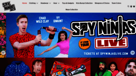 What Spyninjasstore.com website looked like in 2022 (1 year ago)