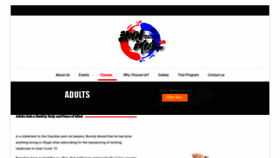What Stromectol.ink website looked like in 2022 (1 year ago)