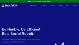 What Socialrabbitplugin.com website looked like in 2022 (1 year ago)