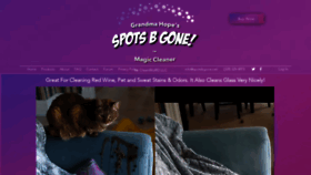 What Spotsbgone.net website looked like in 2022 (1 year ago)