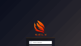 What Selx.net website looked like in 2023 (1 year ago)