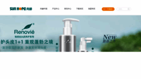 What Sunhope.cn website looked like in 2023 (1 year ago)