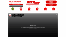 What Skynetworldwide.com website looked like in 2023 (1 year ago)