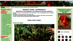 What Svoitomaty.ru website looked like in 2023 (1 year ago)