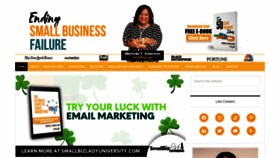 What Succeedasyourownboss.com website looked like in 2023 (2 years ago)