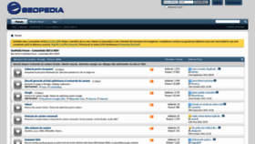 What Seopedia.ro website looked like in 2023 (1 year ago)