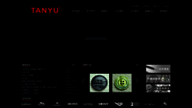 What Sztanyu.com website looked like in 2023 (1 year ago)