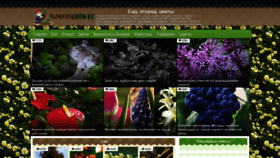 What Sadovnikinfo.ru website looked like in 2023 (2 years ago)