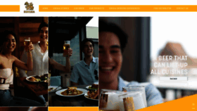 What Singha.com website looked like in 2023 (2 years ago)