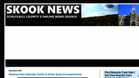 What Skooknews.com website looked like in 2023 (1 year ago)