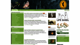 What Salamandra.org.pl website looked like in 2023 (1 year ago)