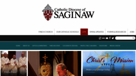 What Saginaw.org website looked like in 2023 (3 years ago)