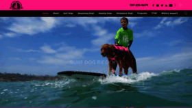 What Surfdogricochet.com website looked like in 2023 (1 year ago)