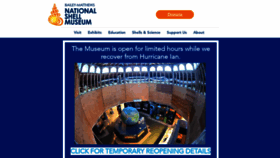 What Shellmuseum.org website looked like in 2023 (1 year ago)