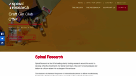 What Spinal-research.org website looked like in 2023 (1 year ago)