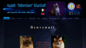 What Siberianstarfall.com website looked like in 2023 (1 year ago)