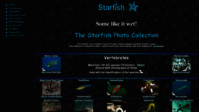 What Starfish.ch website looked like in 2023 (1 year ago)
