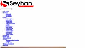 What Seyhankrom.com website looked like in 2023 (1 year ago)
