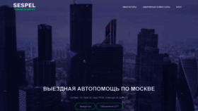 What Sespel.ru website looked like in 2023 (1 year ago)