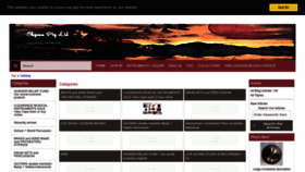 What Skysun.co.za website looked like in 2023 (This year)