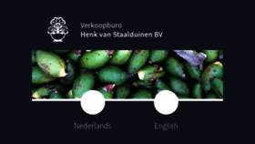 What Staalduinen.com website looked like in 2023 (This year)