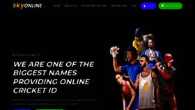 What Skyonlineid.com website looked like in 2023 (This year)