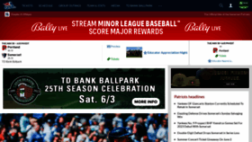 What Somersetpatriots.com website looked like in 2023 (This year)