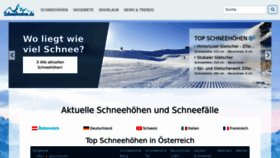 What Schneehoehen.de website looked like in 2023 (This year)