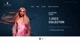 What Schwarzkopf-professionalusa.com website looked like in 2023 (This year)