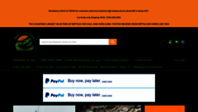 What Snakesatsunset.com website looked like in 2023 (This year)