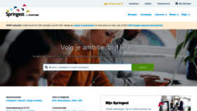 What Springest.nl website looked like in 2023 (2 years ago)