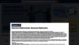 What Skapiec.pl website looked like in 2023 (This year)