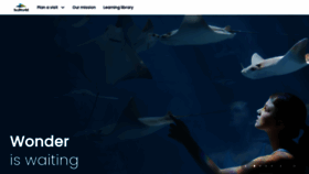 What Seaworld.com website looked like in 2023 (This year)