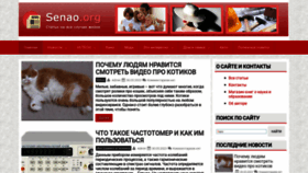 What Senao.org website looked like in 2023 (This year)